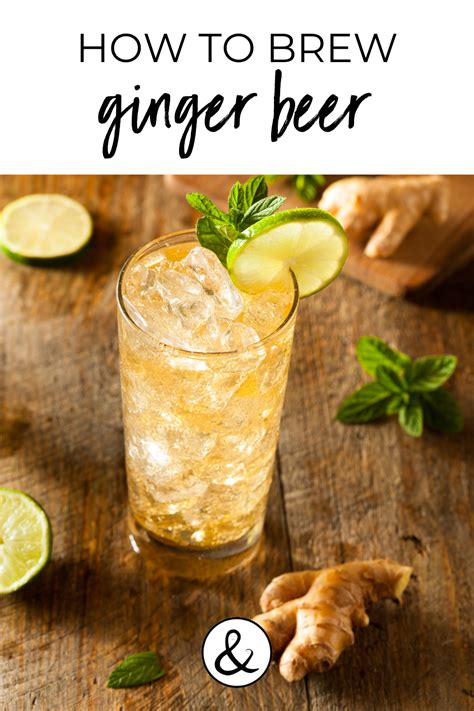 How To Brew Ginger Beer Ginger Beer Recipe Ginger Beer Homemade