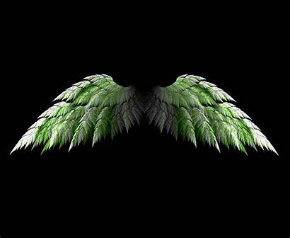 Wings Angel Wing Desktop Angels Fractal Quotekocom