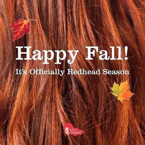 Rockitlikearedhead On Twitter Red Hair Don T Care Redhead Redhead Quotes