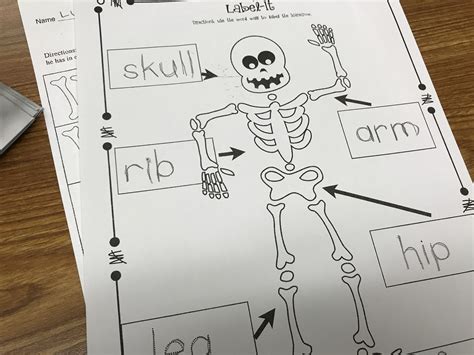 Skeleton Theme In The Kindergarten Classroom — Kindergarten Kiosk