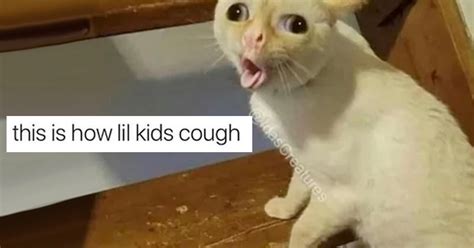 We Need To Talk About This Coughing Cat Meme Because It