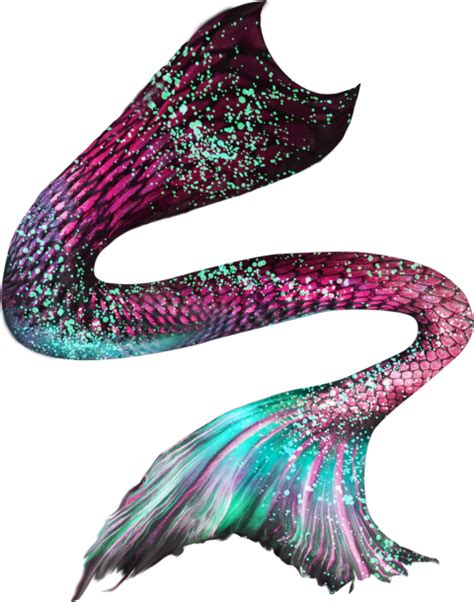 Mermaid Tail 02 Png Photo 433 Free Png Download Image Png Archive