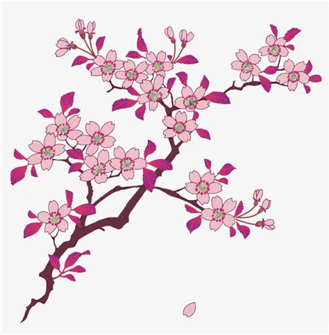 The Best Free Sakura Vector Images Download From 156 Free Vectors Of