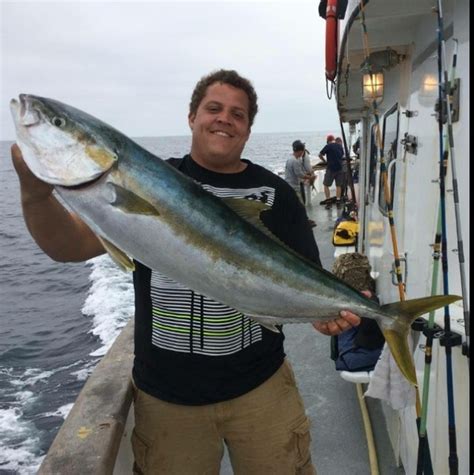 Caught A California Yellowtail On Long Beach Using A Nose Hooked
