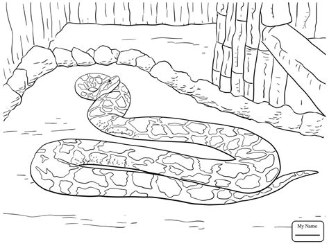 Select from 35919 printable coloring pages of cartoons, animals, nature, bible and many more. Black Mamba Coloring Pages at GetColorings.com | Free ...