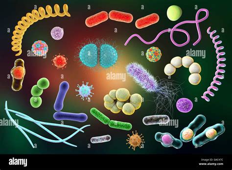 Microbes Computer Illustration Of A Microbial Mixture Containing