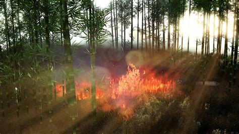Wind Blowing On A Flaming Bamboo Trees During A Forest Fire 6119827
