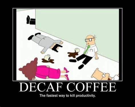 celebrate the love of coffee every day decaf coffee decaf coffee humor decaf