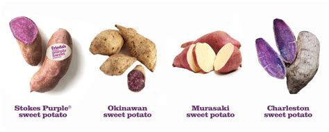 The Ultimate Purple Sweet Potato Guide Friedas Inc The Specialty