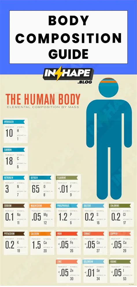 Body Composition Guide How Healthy Are You Be In Shape