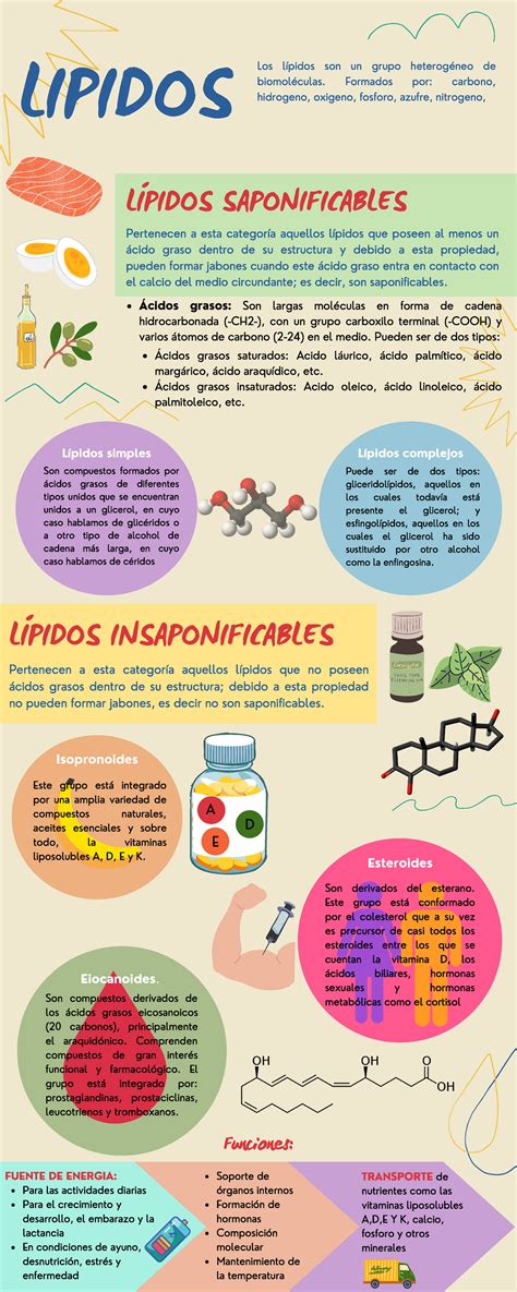 Características de los lípidos Bioquímica UV Studocu