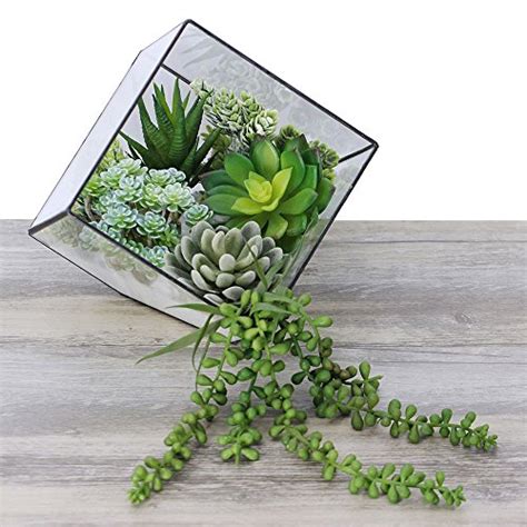 Winlyn 6 Pcs Unpotted Fake Succulents Assorted Faux Succulent In