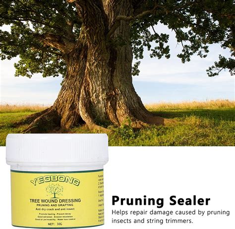 Buy Pruning Sealer Bonsai Cut Paste Tree Wound Dressing Tree Wound Cut
