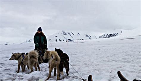 Dog Sledding In Svalbard Norway In The Know Traveler