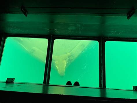 Glass Bottom Shipwreck Tours Munising Μίσιγκαν Κριτικές Tripadvisor