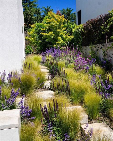 An Outdoor Garden With Purple Flowers And Green Plants On The Side Of A