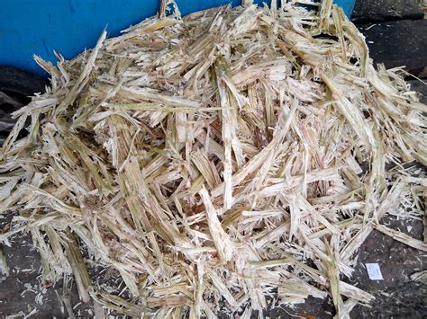 File Sugarcane Bagasse