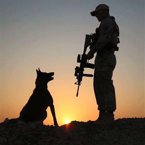 Army Dogs Police Dogs Military Working Dogs Military Dogs Military