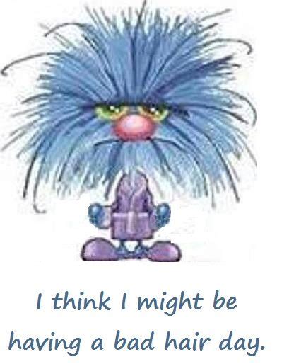 I Think I Might Be Having A Bad Hair Day Funny Good Morning Quotes