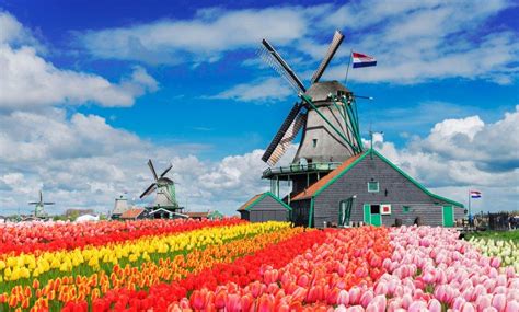 Things To Do In Netherlands (2022)