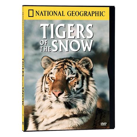 Tigers Of The Snow Dvd National Geographic Store Tiger National