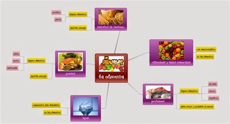 Mapas Mentales Conceptuales Y Cuadros Sinópticos Sobre Alimentos