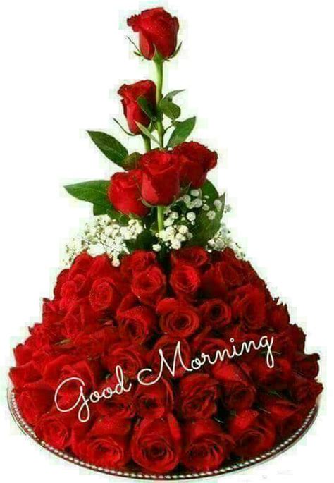 Most beautiful flowers good morning wishes video. Sign in | Good morning roses, Good morning beautiful images, Good morning gif