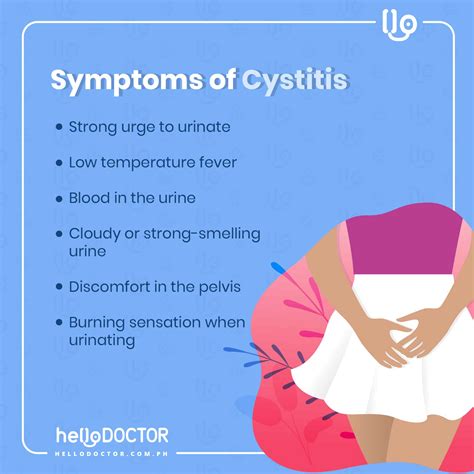How To Know If You Have Cystitis Signs And Symptoms