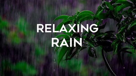 3 Hours Of Gentle Rain Relaxing Rain Sounds For Sleep Fall Asleep