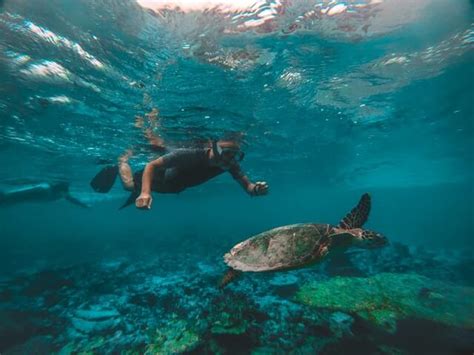 10 Best Places To Snorkel In The World Snorkeling Spots Just Credible