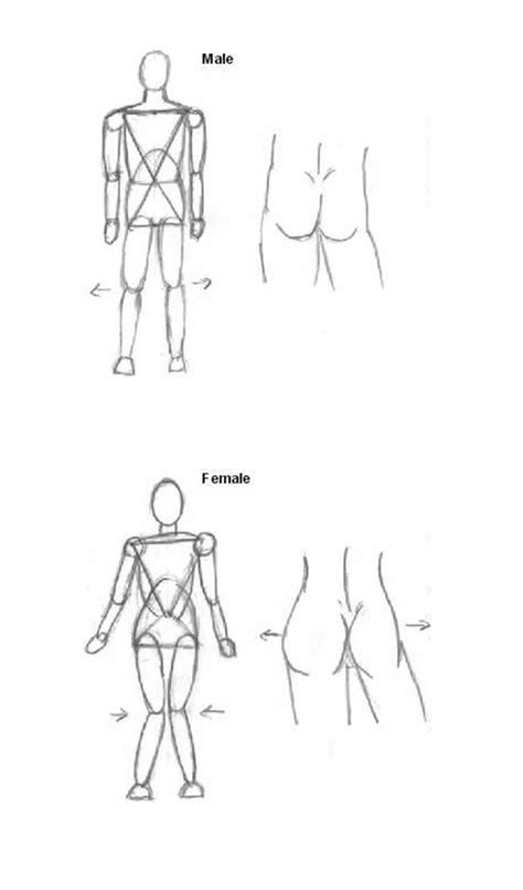 Male Anatomy Anime Construction Of Male Figure By Seandee21 On