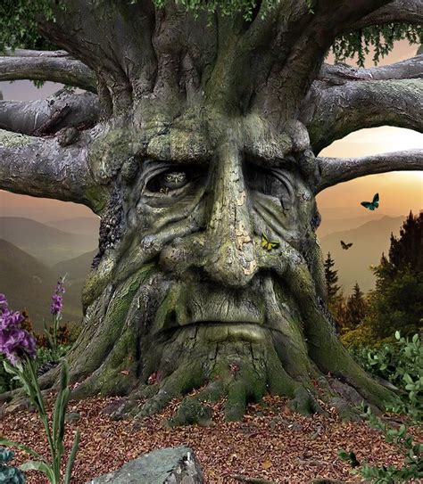 Photoshop Design By Marcusaurelius In 2023 Tree Faces Magical Tree