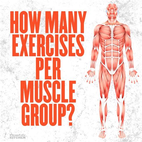 How Many Exercises Per Muscle Group Workout Planning In 2023
