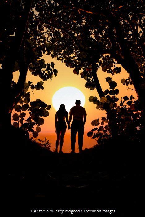 We did not find results for: Terry Bidgood SILHOUETTE OF COUPLE HOLDING HANDS AT SUNSET ...