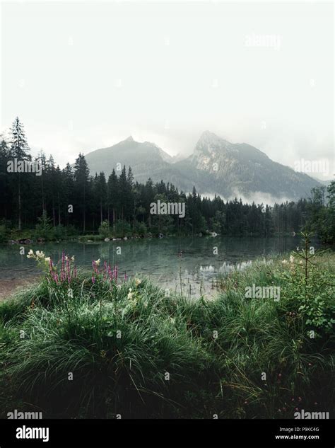Amazing Misty Summer Day On The Hintersee Stock Photo Alamy