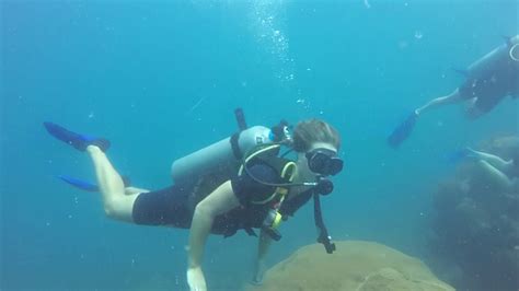 Scuba Diving Koh Tao Thailand Youtube