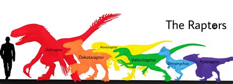 Raptor Size Chart Jurassic Park Know Your Meme