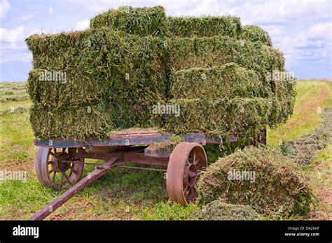 Old Hay Wagon Hi Res Stock Photography And Images Alamy