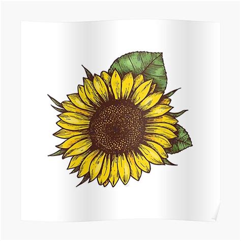 Yellow Flower Aesthetic Sunflower Pretty Cute Girly Simple