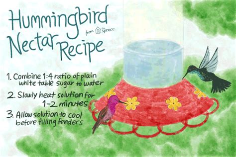 Maybe you would like to learn more about one of these? Classic Hummingbird Nectar Recipe