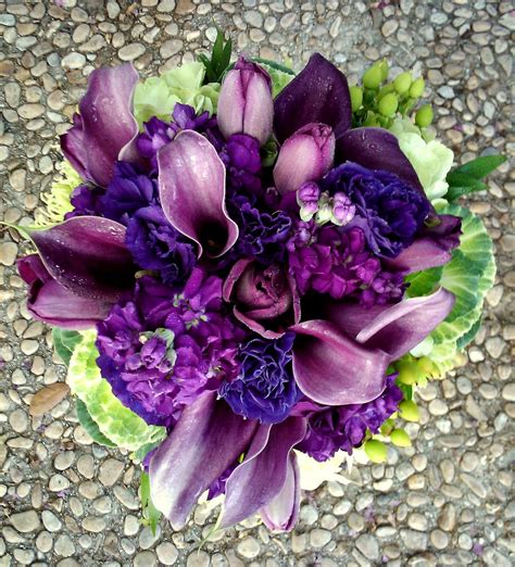 Read on to learn how to cross pollinate white mums to get more of them in your town! Beautiful! | Green hydrangea, Spider mums, Blue flowers
