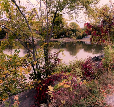 Autumn Lakeside Free Stock Photo Public Domain Pictures