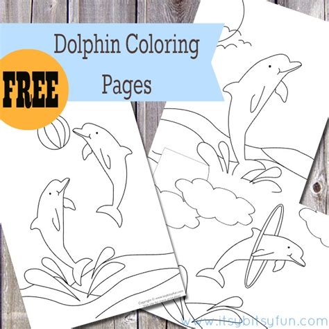 It is a collection of coloring pages that captivates your child. Dolphin Activities for Kids - In The Playroom