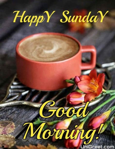 Top 999 Good Morning Happy Sunday Images Amazing Collection Good