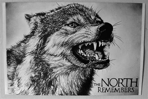 Dire Wolf Game Of Thrones By Laurenmarwood On Deviantart