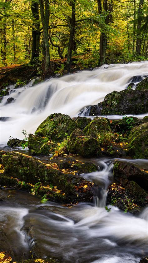 Waterfall Stream On Green Algae Covered Rocks Between Green Trees