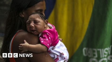 Zika Virus Brazil Says Emergency Is Over Bbc News