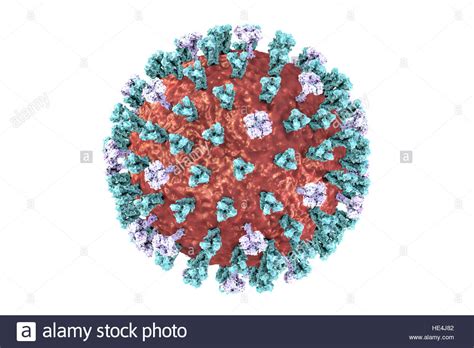 German tv feature about the bird flu virus and a model that predicts disease spreading over the aviation network. Vogelgrippe-Virus. 3D Illustration einer Vogelgrippe H5N8 ...
