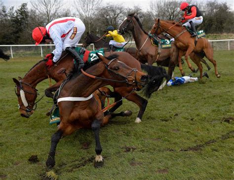 Once entered, the energy cost will be deducted from your horse's stats. Death of Second Horse at Grand National Reignites Concerns ...