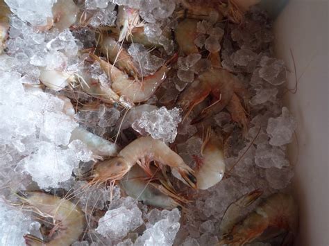1 sudu besar sos tomato. LeT MaKAN-MAKan: Sungai Dua, Butterworth Mee Udang